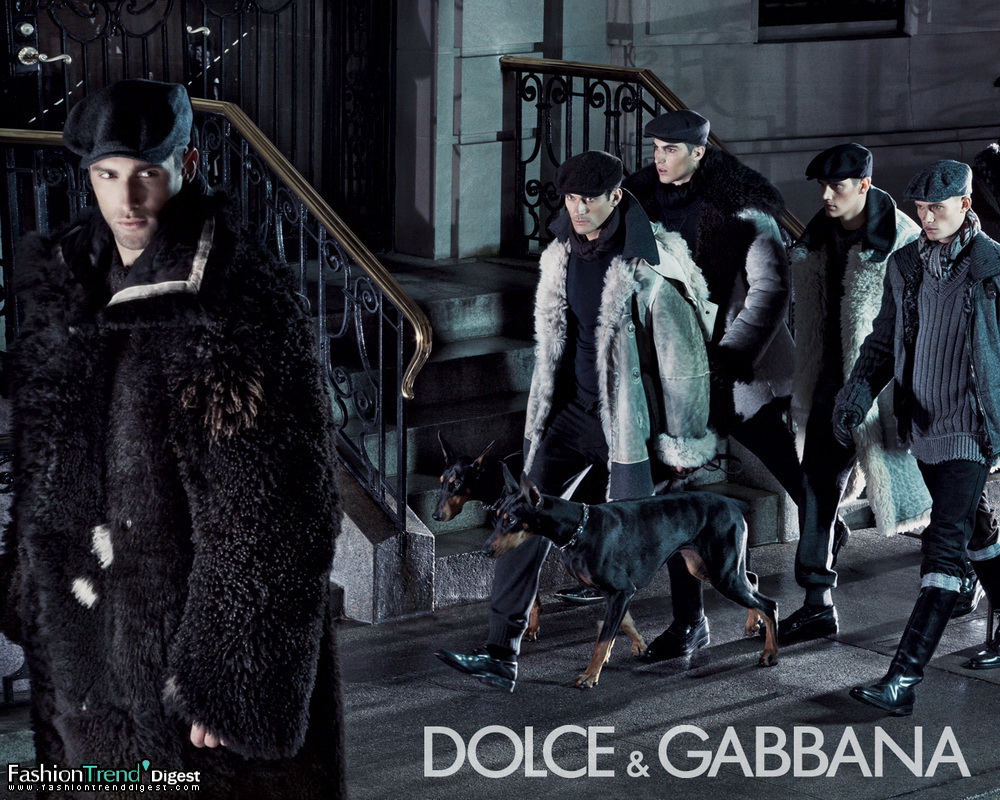Dolce & Gabbana 2008ﶬVDƬ